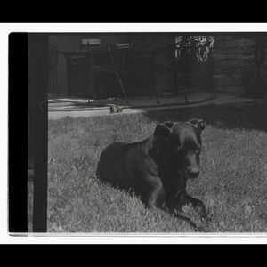 Meet your Posher, Tom